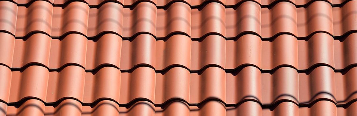 5 Tips To Keep Your Roof in Great Shape